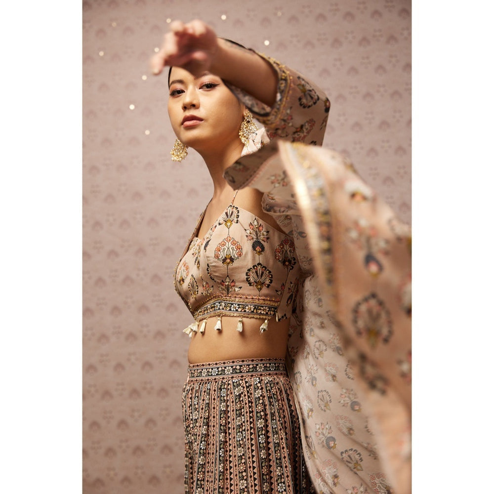 Soup by Sougat Paul Beige & Multi Sarouk Floral Crop Top with Palazzo and Jacket (Set of 3)