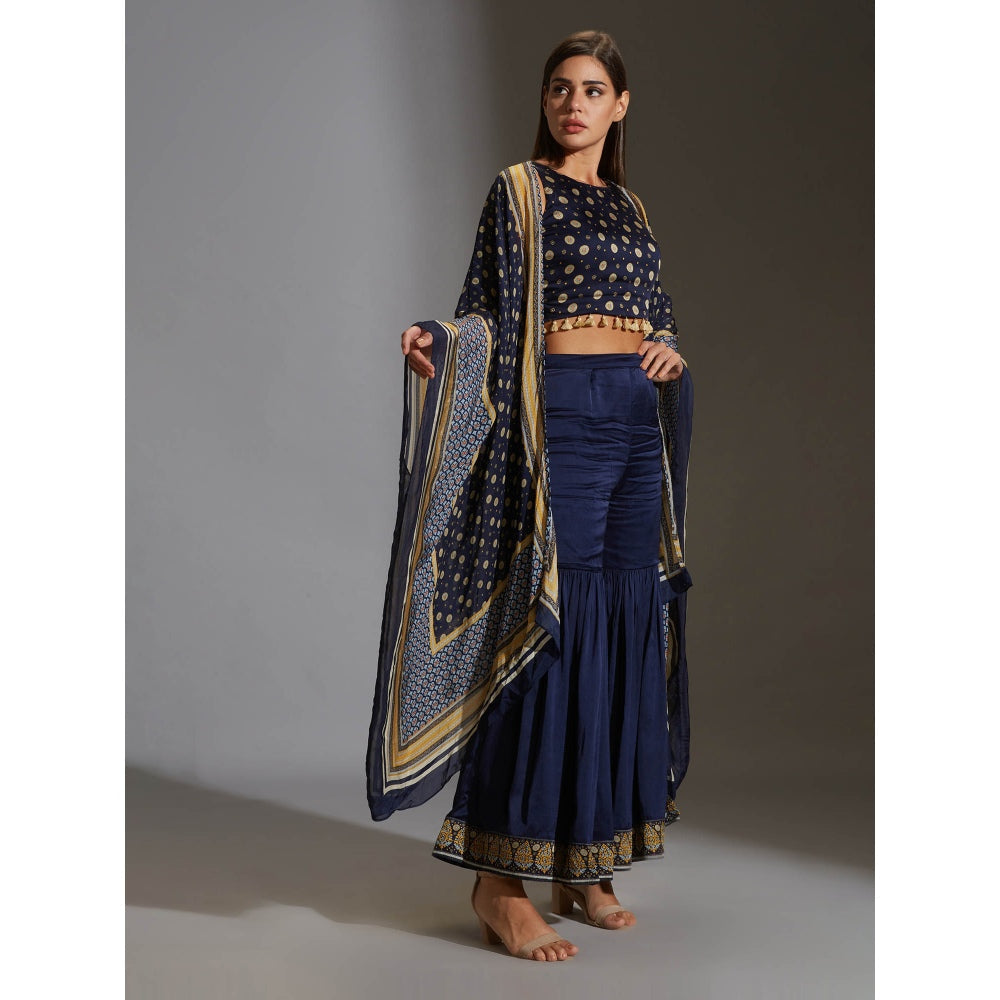 Soup By Sougat Paul Sharara With Crop Top Which Has Tassel Details With Kaftan Cape (Set of 3)