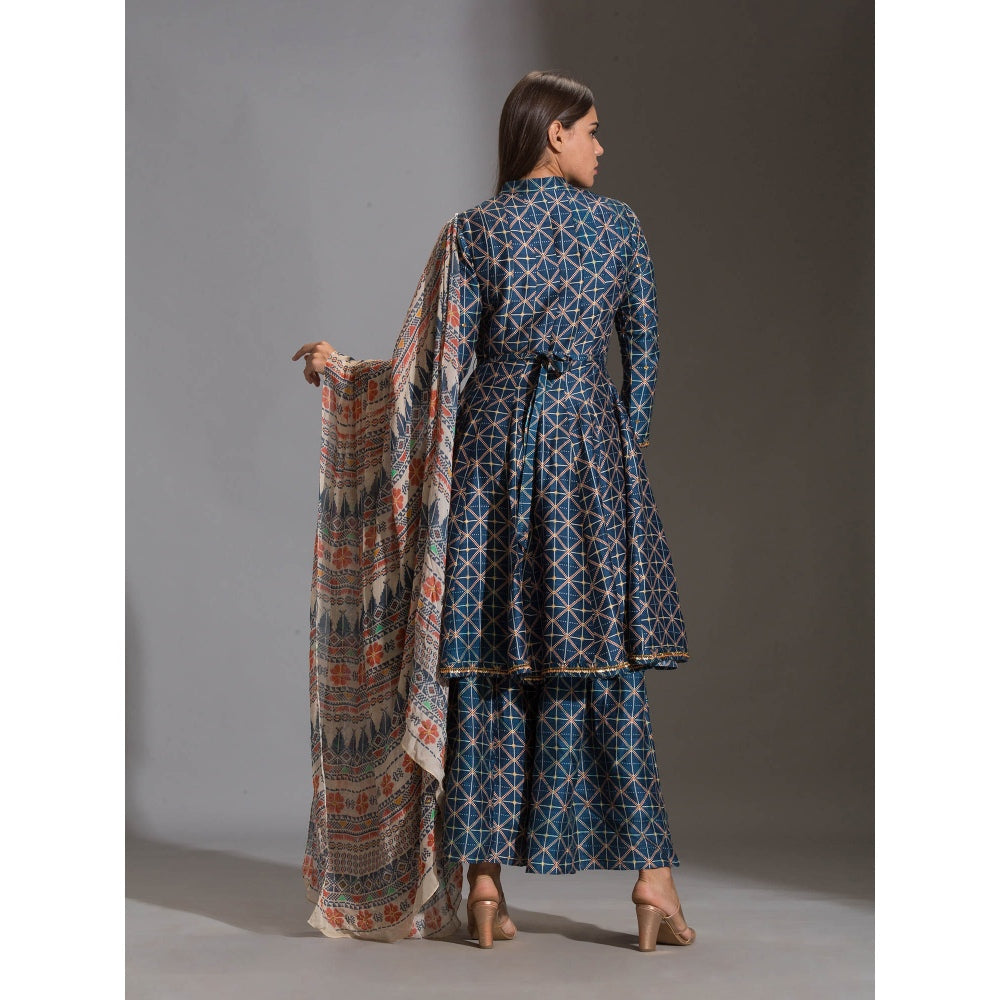 Soup By Sougat Paul Panel Anarkali Paired With Sharara And Organza Dupatta (Set of 3)