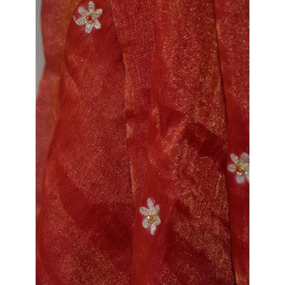 Studio Malang Soft Tissue Red Hand Embroidered Dupatta