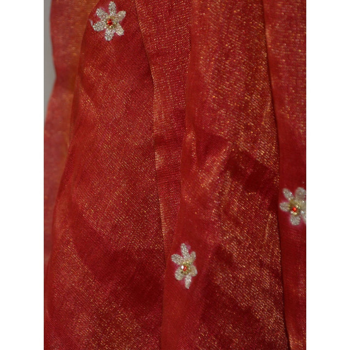 Studio Malang Soft Tissue Red Hand Embroidered Dupatta