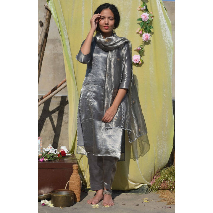 Studio Malang Silver Tissue Silk Hand Embroidered Suit Set (Set Of 3)