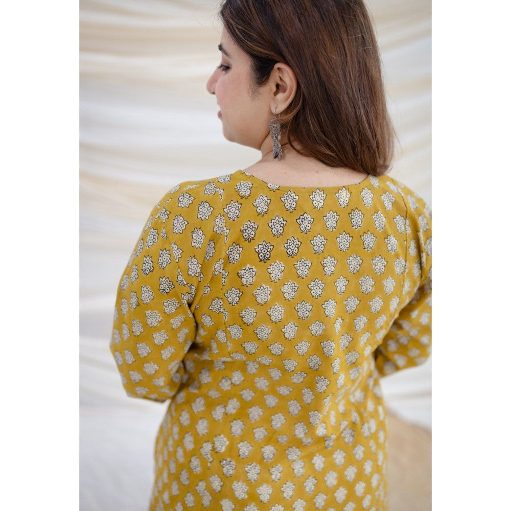 The Indian Ethnic Co. Hiral Bagru Kali Cotton Kurta