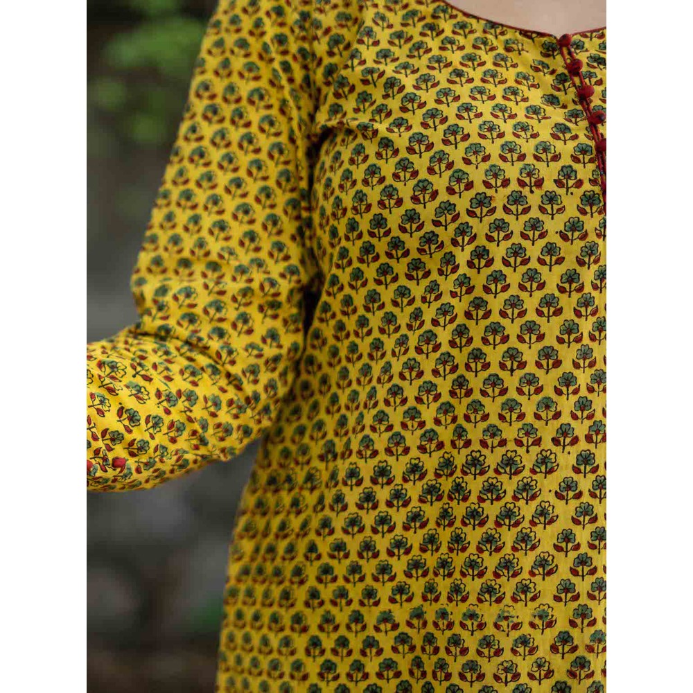 The Indian Ethnic Co. Aamna Mustard Ajrakh Kurta