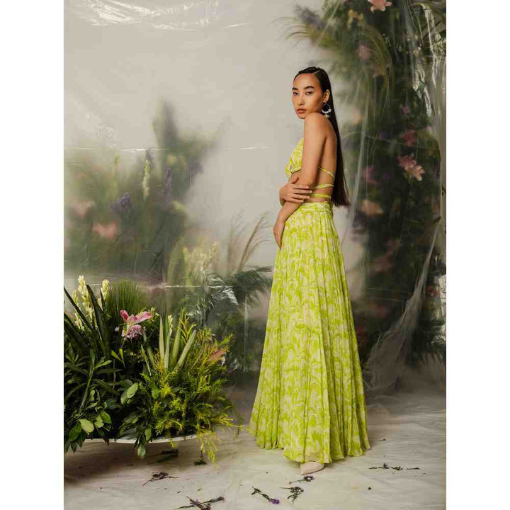THE IASO Green Kioko Bralette & Midi Skirt (Set of 2)