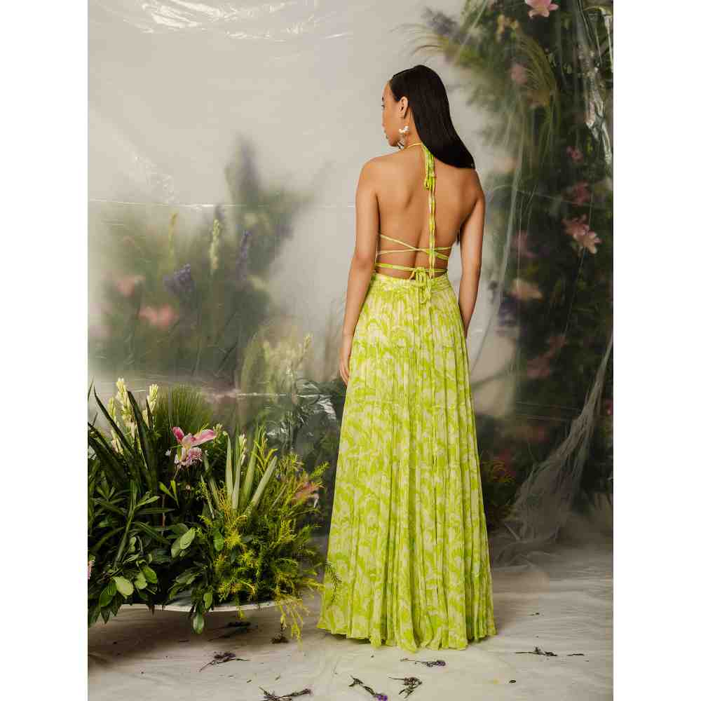 THE IASO Green Kioko Bralette & Midi Skirt (Set of 2)