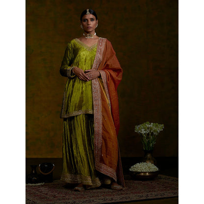 WeaverStory Heena Sharara Set With Zardozi Borders And Tissue Dupatta (Set of 3)