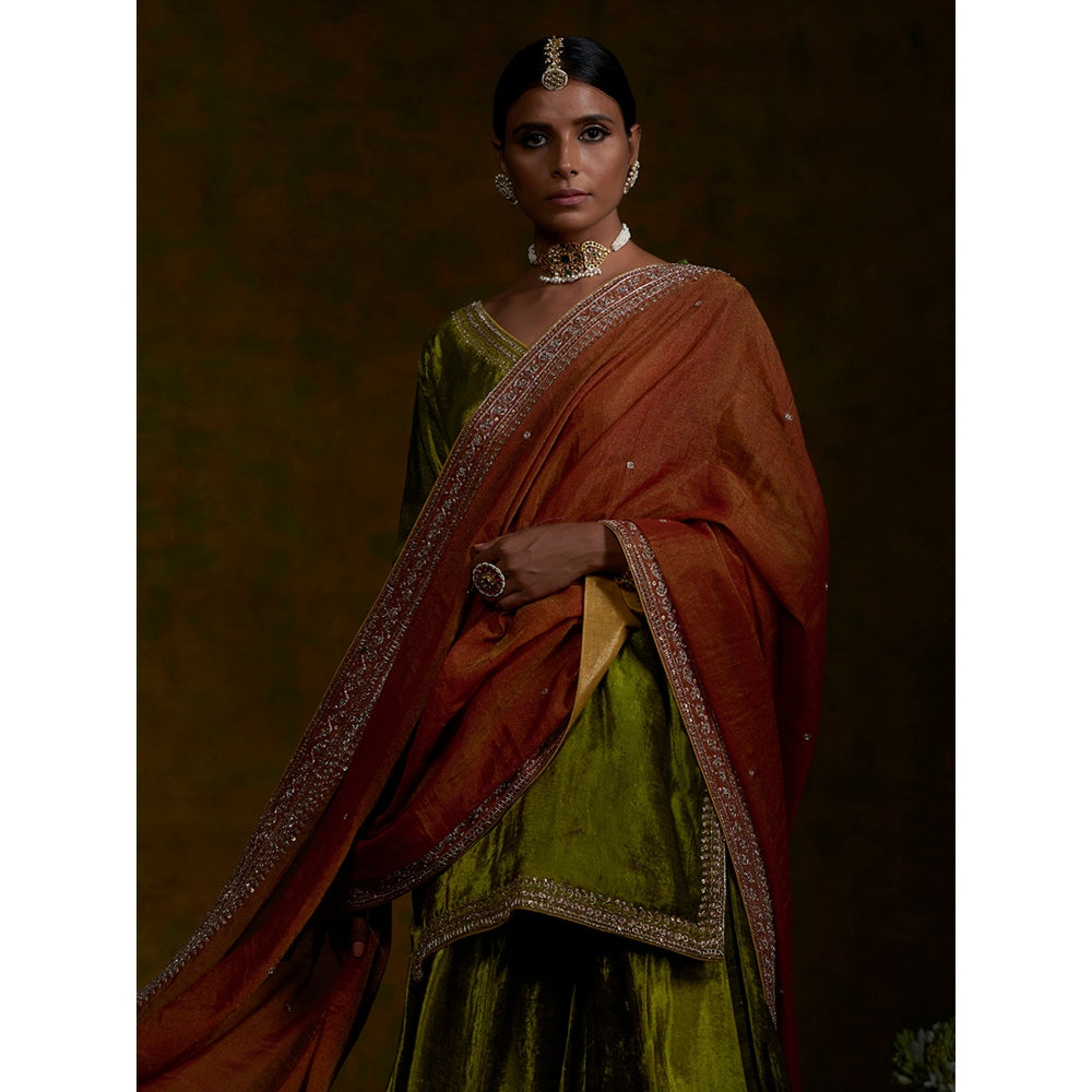 WeaverStory Heena Sharara Set With Zardozi Borders And Tissue Dupatta (Set of 3)