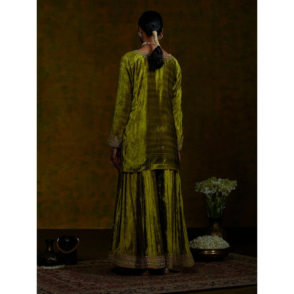 WeaverStory Heena Sharara Set With Zardozi Borders And Tissue Dupatta (Set of 3)