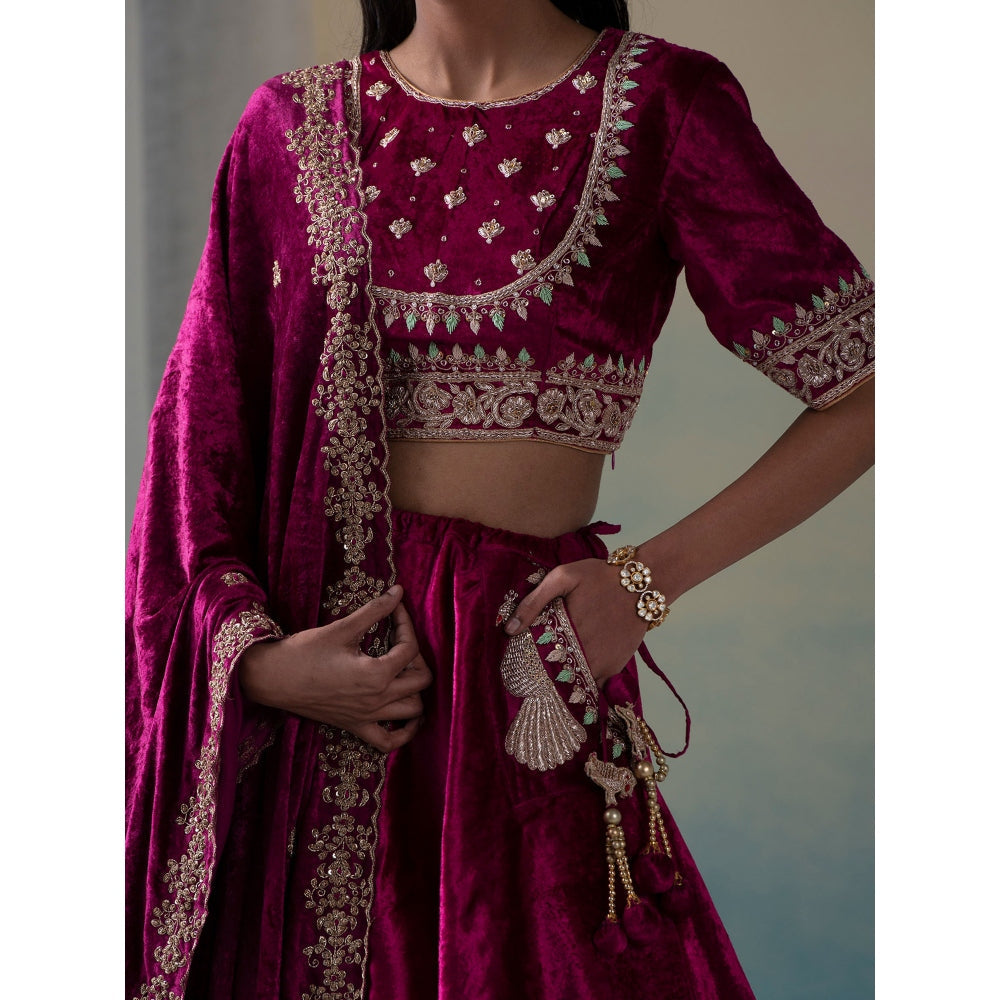 WeaverStory Fuchsia Pure Velvet Zardozi Lehenga with Blouse and Organza Dupatta (Set of 3)
