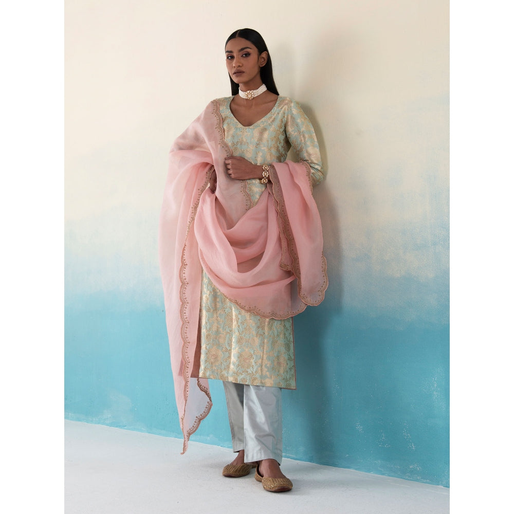 WeaverStory Tarifa Powder Blue Banarasi Kimkhab Kurta and Pants with Organza Dupatta (Set of 3)