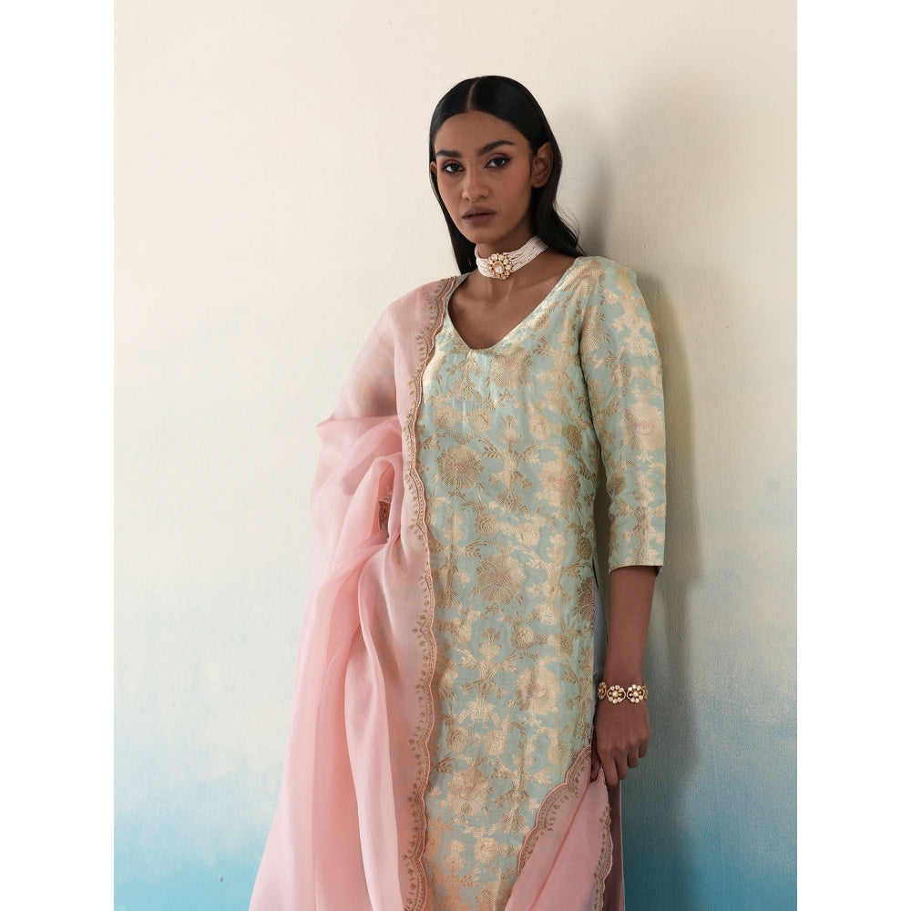 WeaverStory Tarifa Powder Blue Banarasi Kimkhab Kurta and Pants with Organza Dupatta (Set of 3)