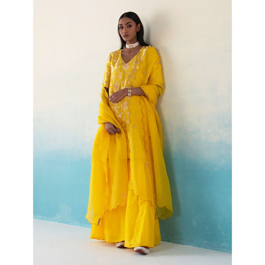 WeaverStory Hazel Yellow Jangla Banarasi Katan Silk Kurta with Gharara and Dupatta (Set of 3)