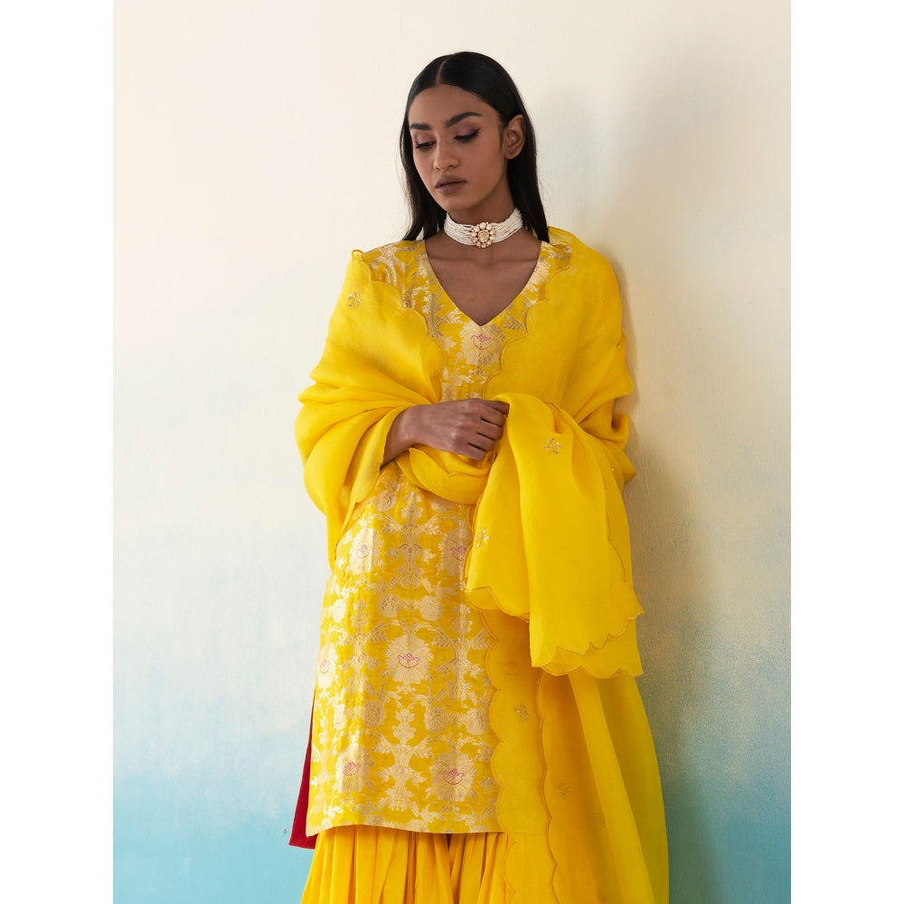 WeaverStory Hazel Yellow Jangla Banarasi Katan Silk Kurta with Gharara and Dupatta (Set of 3)