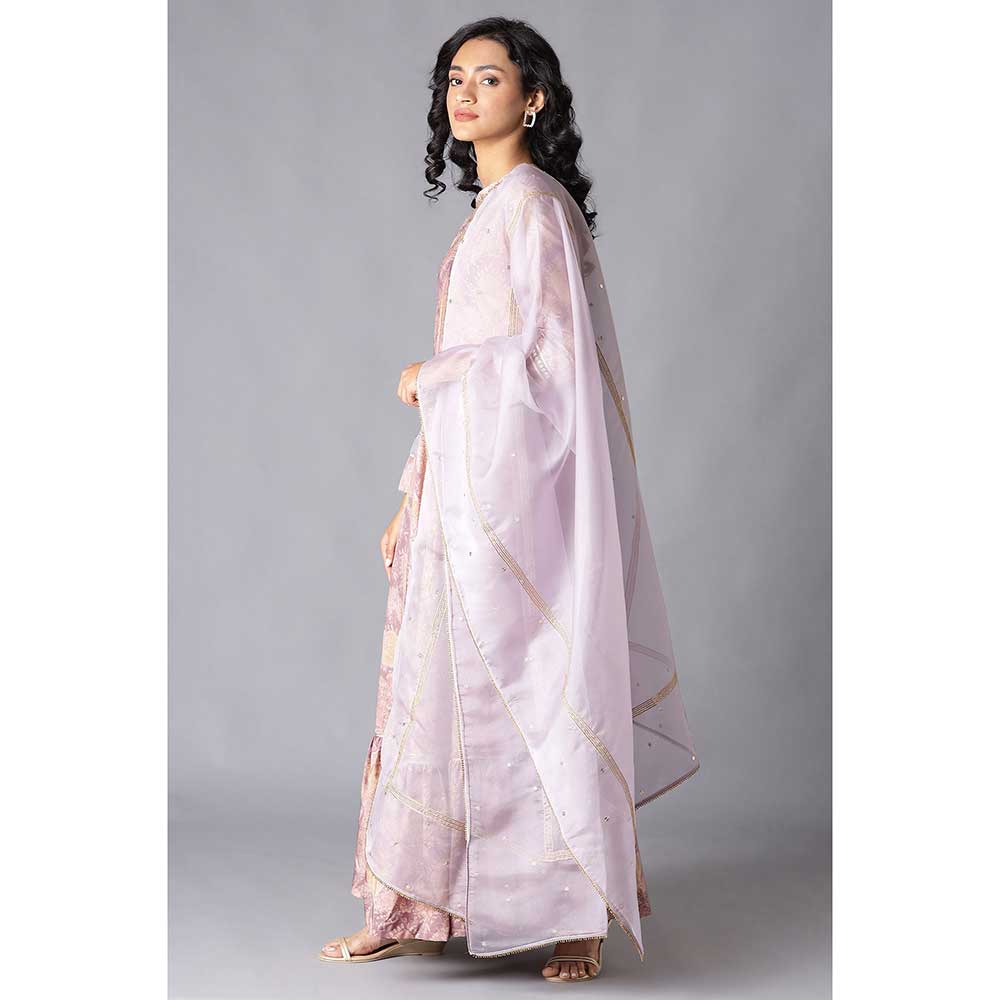 WISHFUL by W Pink Floral Dress - Dupatta (Set of 2)