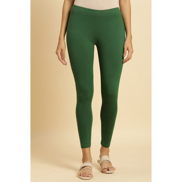 W Green Solid Tights