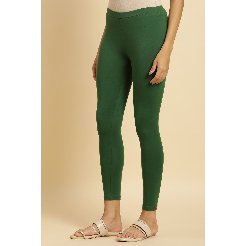 W Green Solid Tights