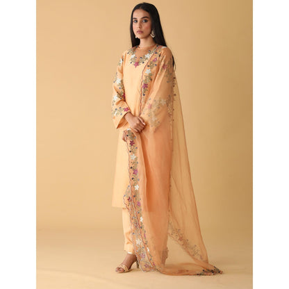 Zeefaa Sundowner Chanderi Nude Pallete Set (3 Pcs)