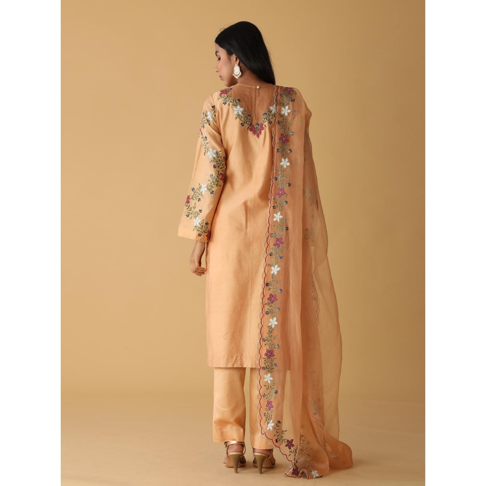 Zeefaa Sundowner Chanderi Nude Pallete Set (3 Pcs)